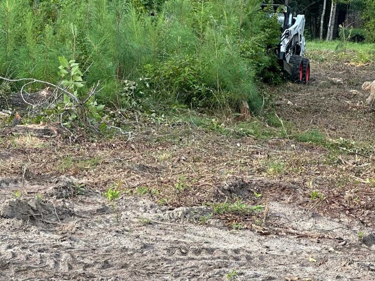 El Costeño Tree Service LLC